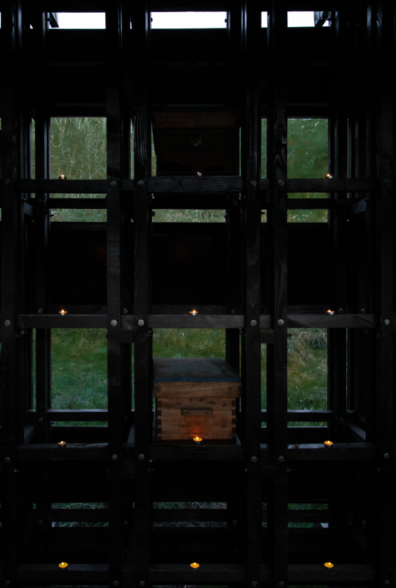 有蜂箱的立面 摄影：江奇伟 Facade with beehives by Qiwei Jiang.png